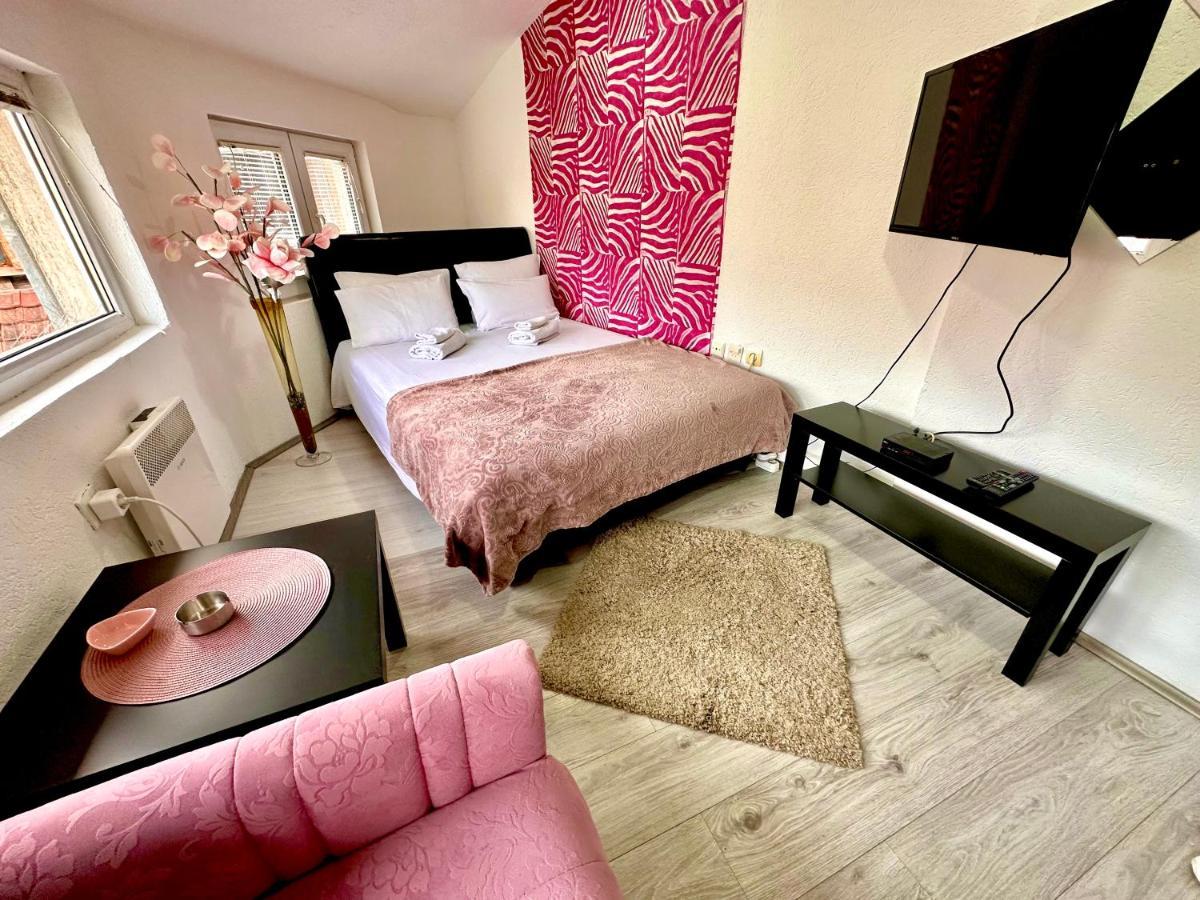 Apartmani Aleksandra U Centru Grada Kragujevac Ngoại thất bức ảnh